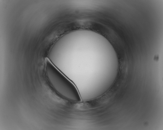 X0000110940752200906191050