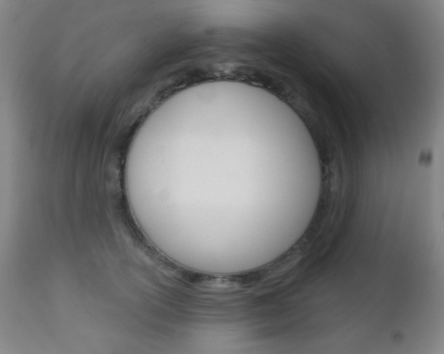 X0000110940754200906191050