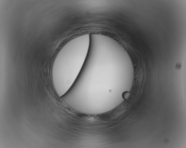 X0000110940755200906191050