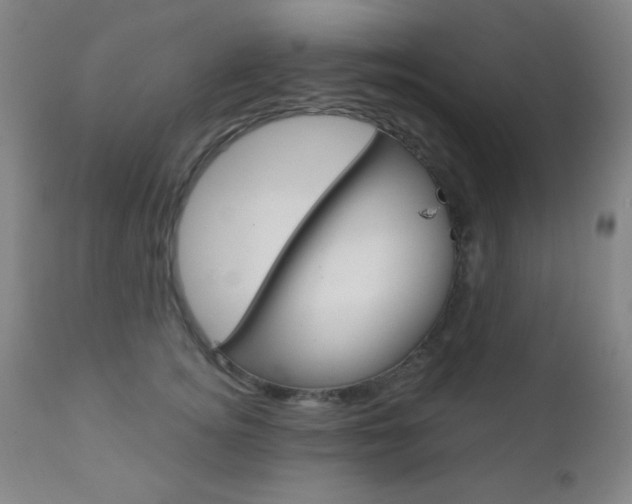 X0000110940756200906191050