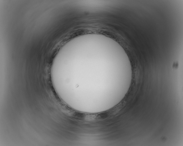 X0000110940757200906191050