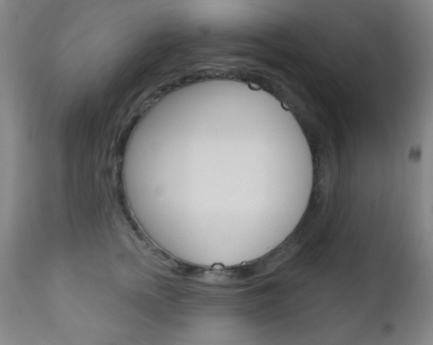 X0000110940758200906191050
