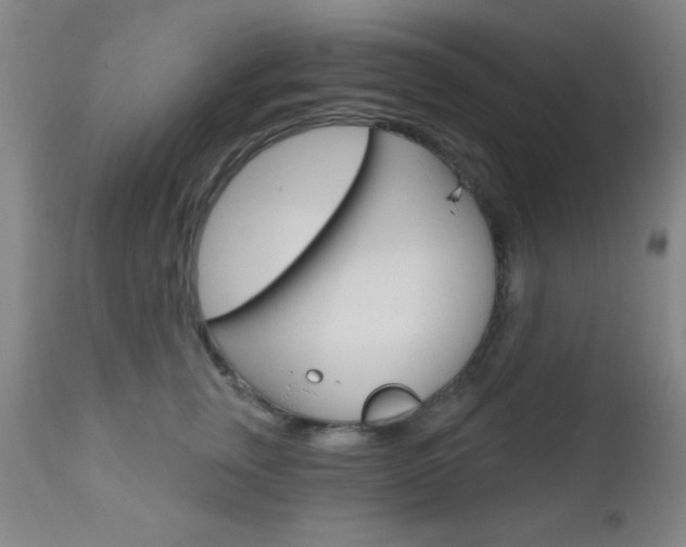 X0000110940759200906191050
