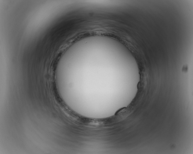 X0000110940760200906191050
