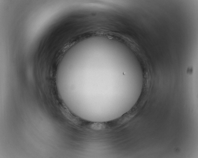 X0000110940762200906191050
