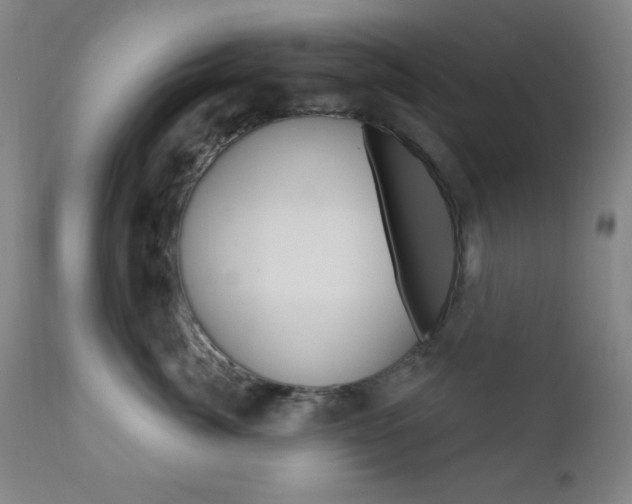 X0000110940764200906191050