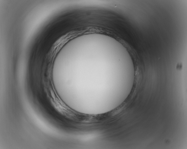 X0000110940765200906191050