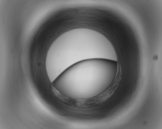 X0000110940766200906191050