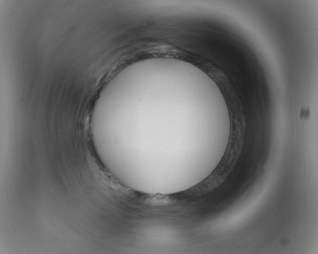 X0000110940767200906191050
