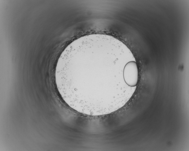 X0000110940769200906191049