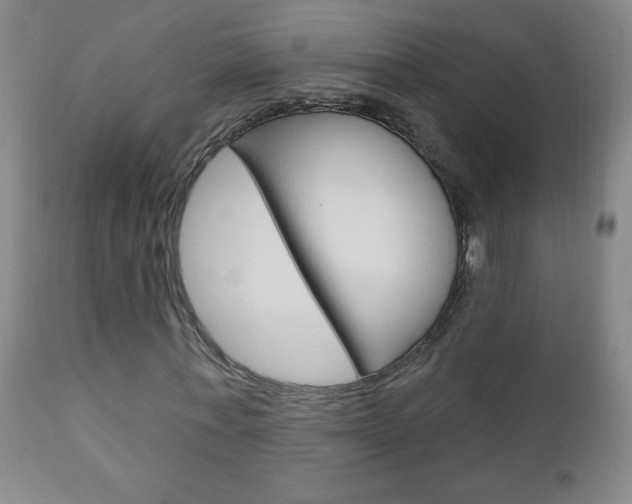 X0000110940771200906191049