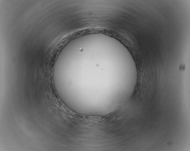 X0000110940773200906191049