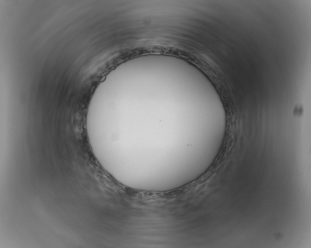 X0000110940774200906191049