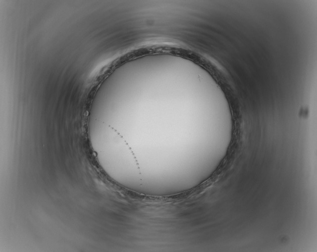 X0000110940775200906191049