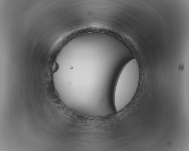 X0000110940776200906191049