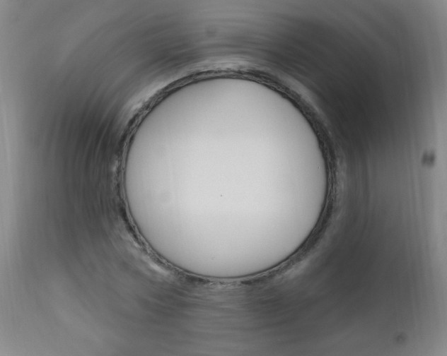 X0000110940778200906191049