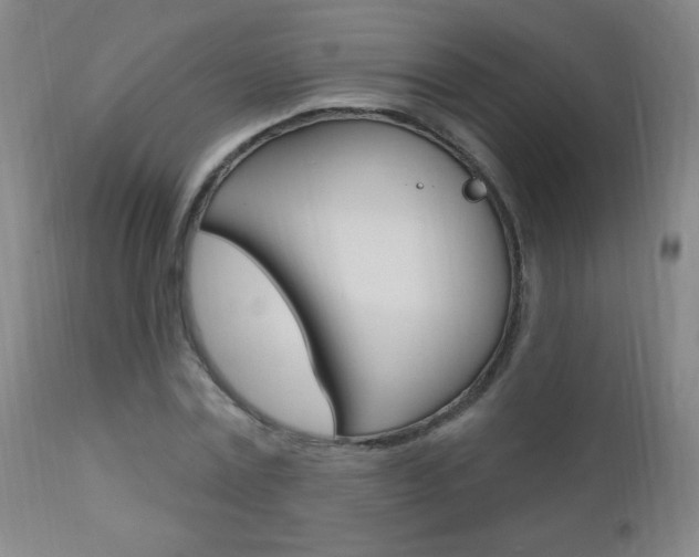 X0000110940779200906191049