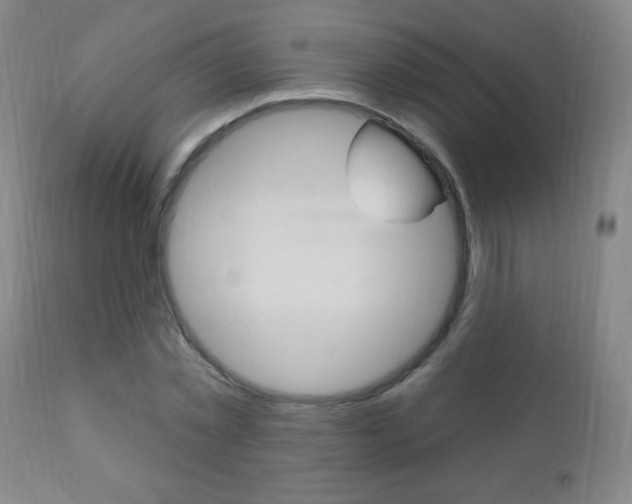 X0000110940781200906191049