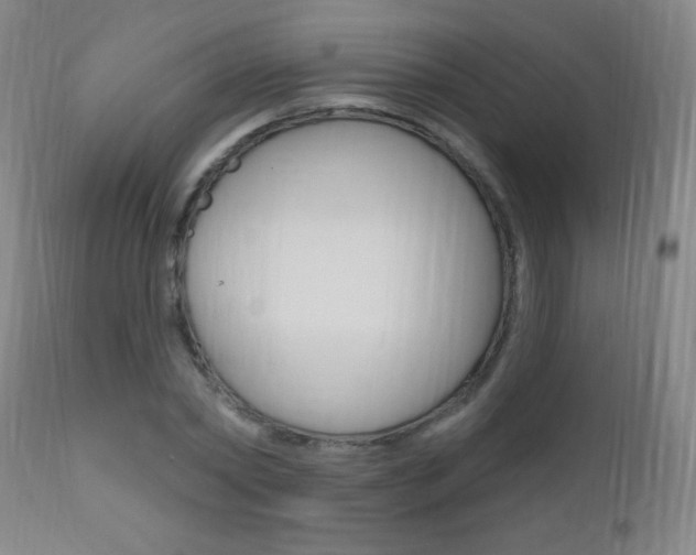X0000110940782200906191049