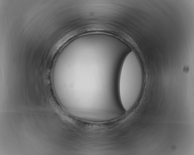 X0000110940786200906191049