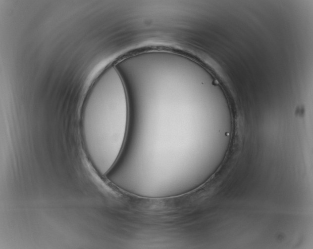 X0000110940791200906191049