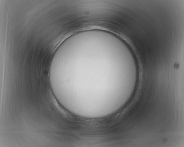 X0000110940793200906191049