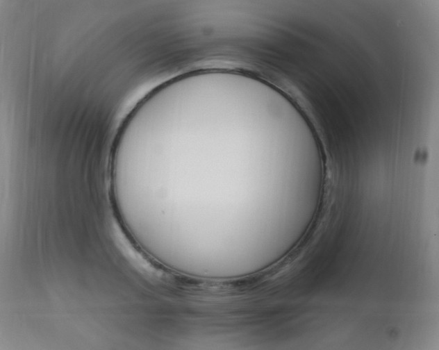 X0000110940795200906191049