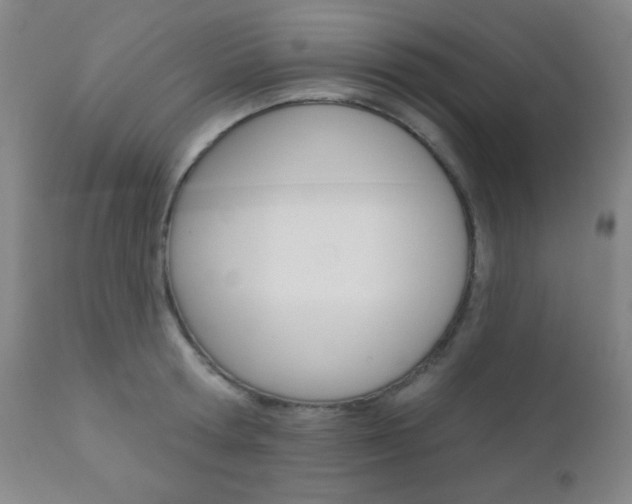 X0000110940802200906191049