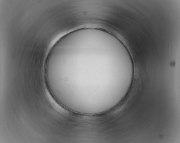 X0000110940803200906191049