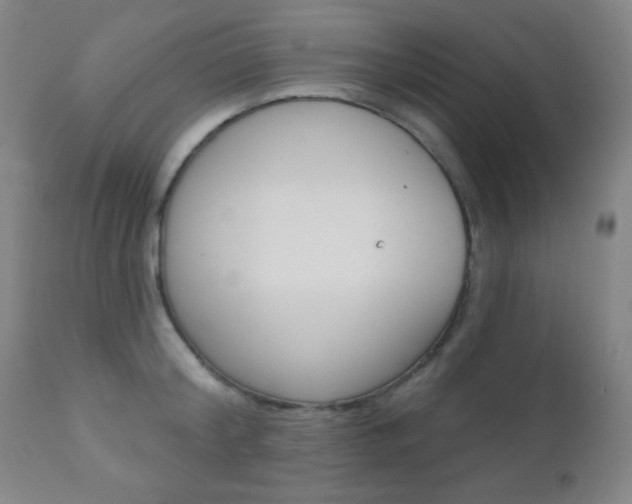 X0000110940804200906191049