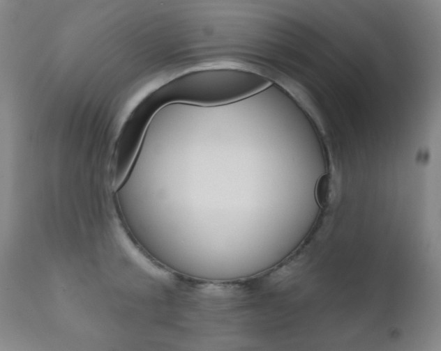 X0000110940805200906191049