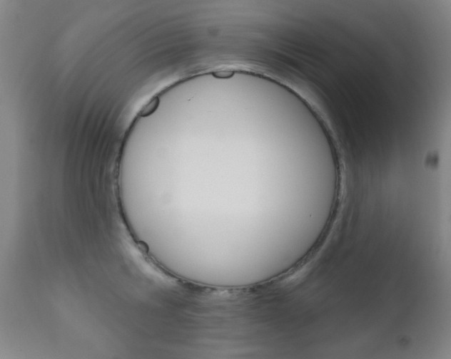 X0000110940806200906191049