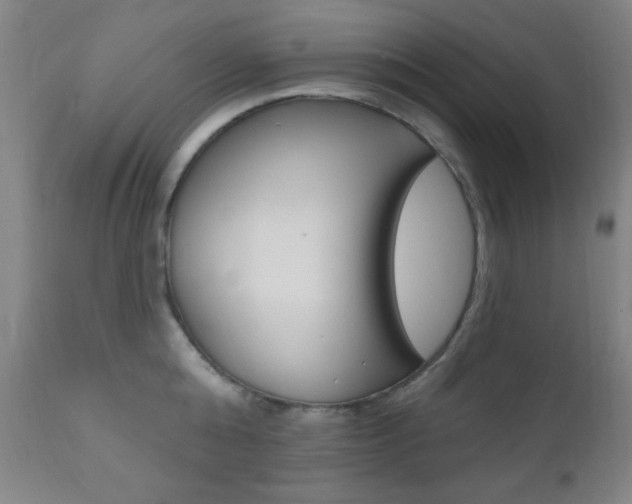 X0000110940808200906191049