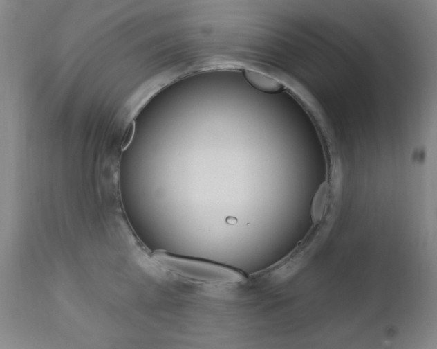 X0000110940809200906191049