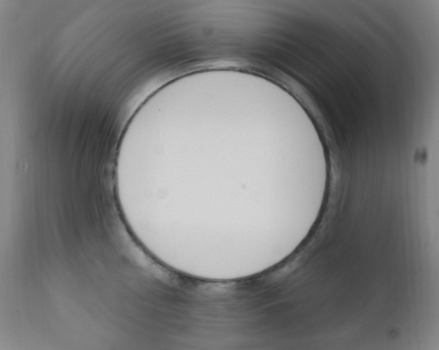 X0000110940810200906191049