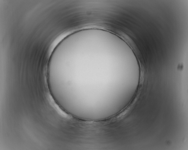 X0000110940812200906191049