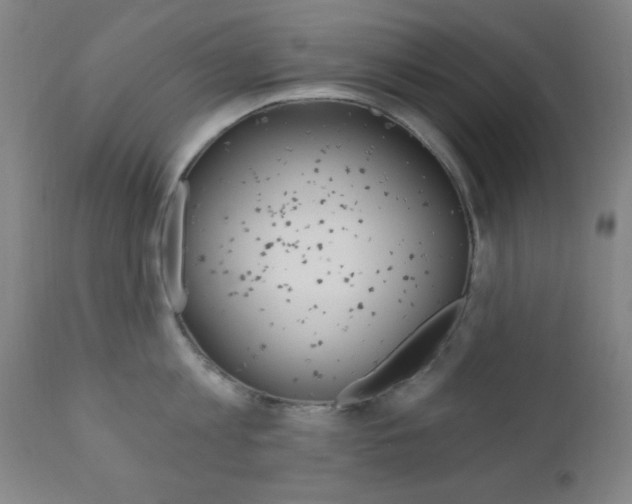X0000110940813200906191049