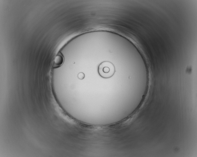 X0000110940814200906191049