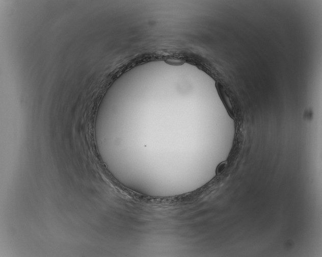 X0000110940817200906191048