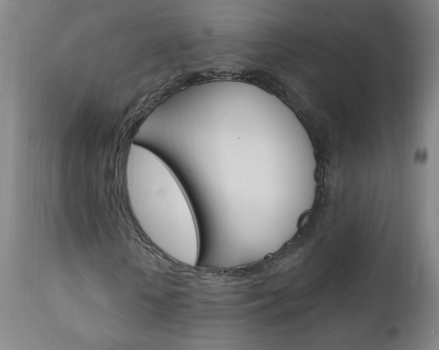X0000110940818200906191048