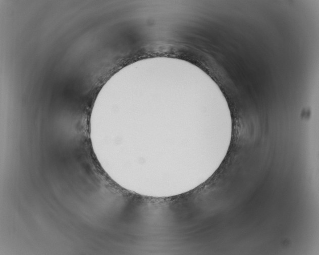 X0000110940820200906191048