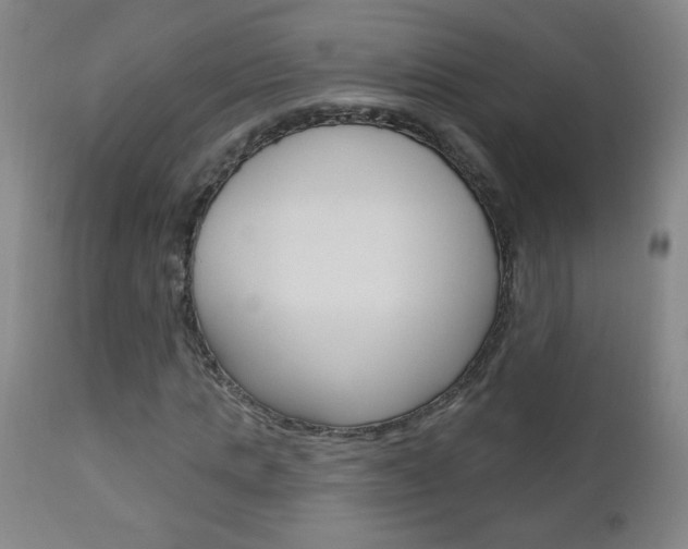 X0000110940821200906191048
