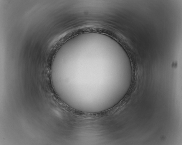 X0000110940822200906191048