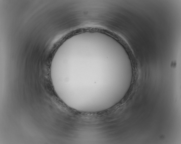 X0000110940823200906191048