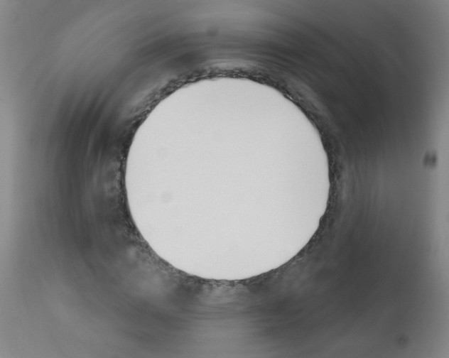 X0000110940824200906191048