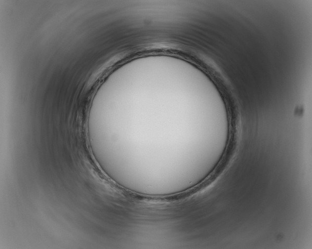X0000110940825200906191048