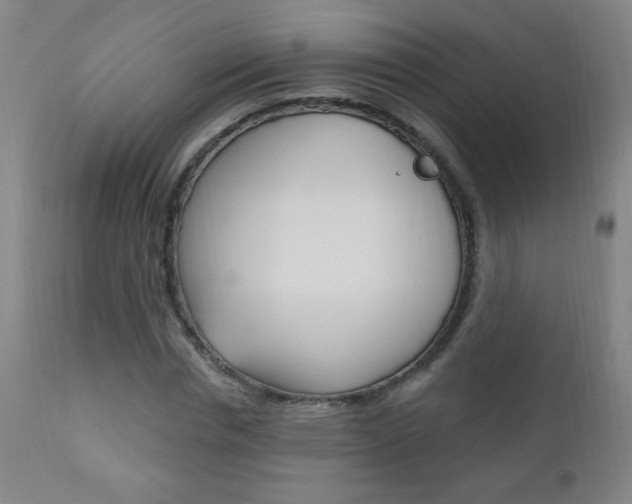 X0000110940826200906191048