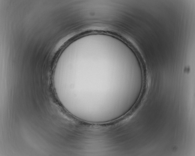 X0000110940829200906191048