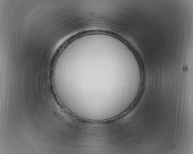 X0000110940830200906191048