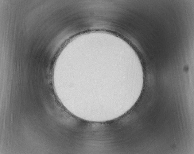 X0000110940832200906191048